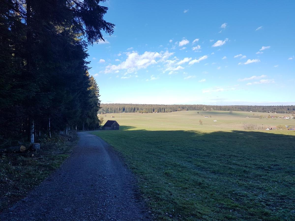 Ferienwohnung Im Schwarzwald Oberwiesenhof Seewald Екстериор снимка